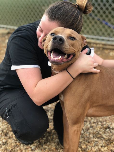 Birmingham humane - Learn more about how Purina and Petfinder are making a difference together. Search for dogs for adoption at shelters near Birmingham, AL. Find and adopt a pet on Petfinder today.